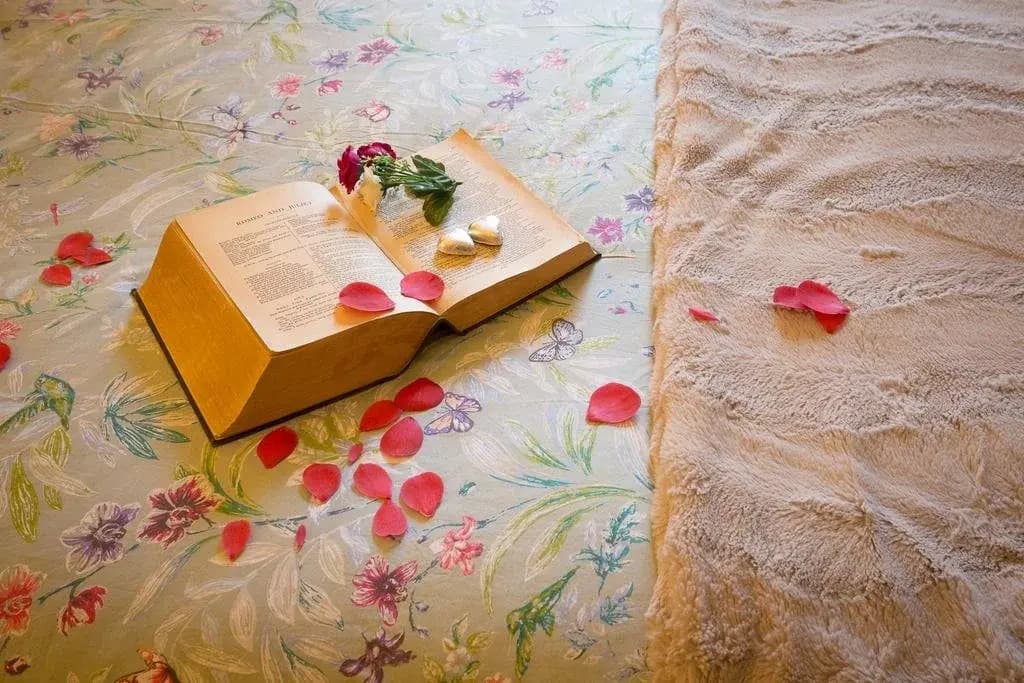 The Heart of Emerald Bed & Breakfast - photo 16