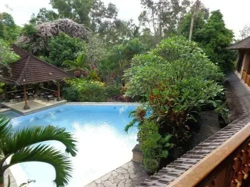 Klub Kokos Bungalows - photo 6