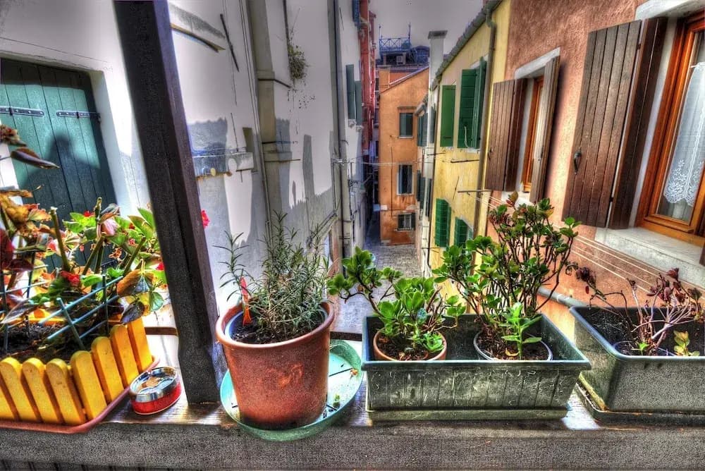 RECIOTO Rialto-Market - photo 16