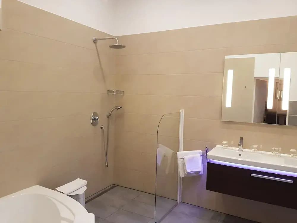 Aparthotel Rothensteiner - photo 7