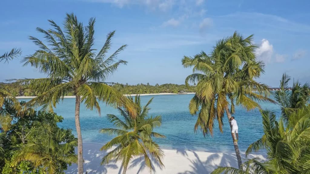 Naladhu Private Island Maldives - photo 19