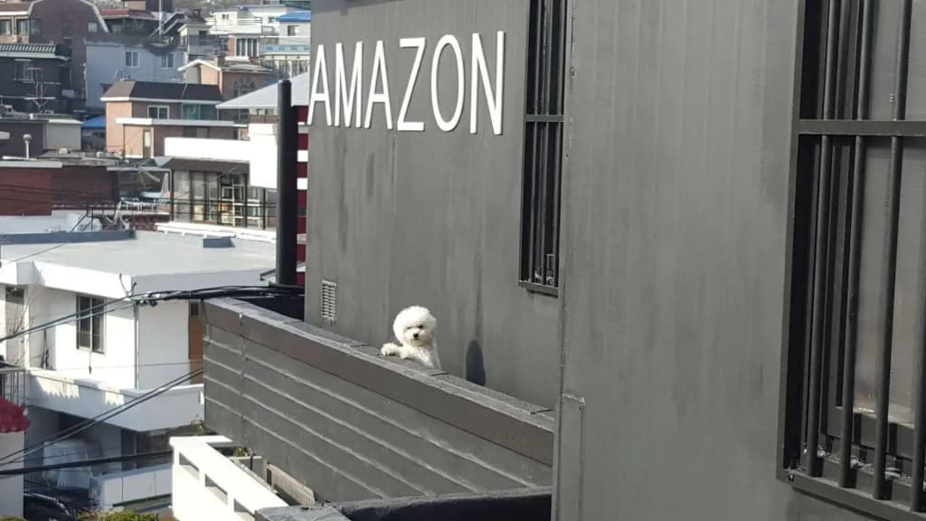Amazon Guesthouse - Hostel - photo 1