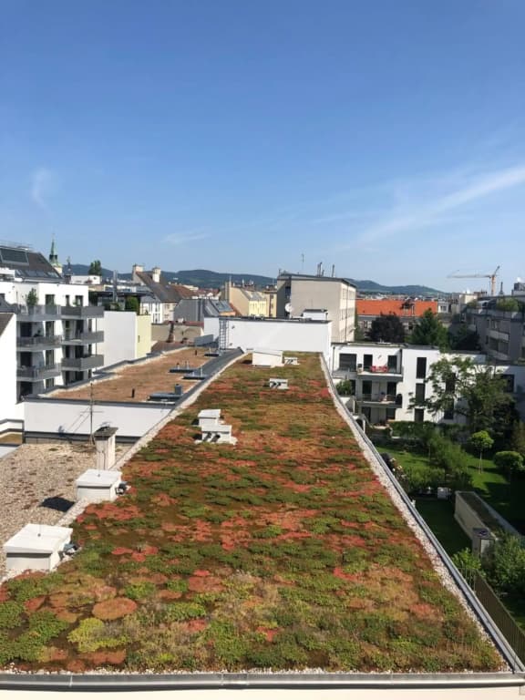 Vienna Sunny Side Up Apartments - photo 35