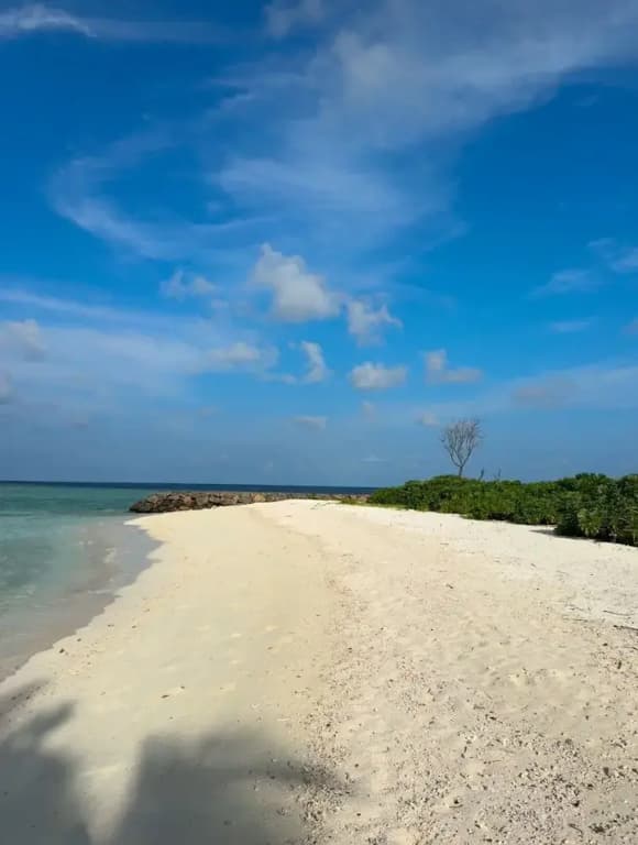 Rattehi Inn at Rakeedhoo - photo 12
