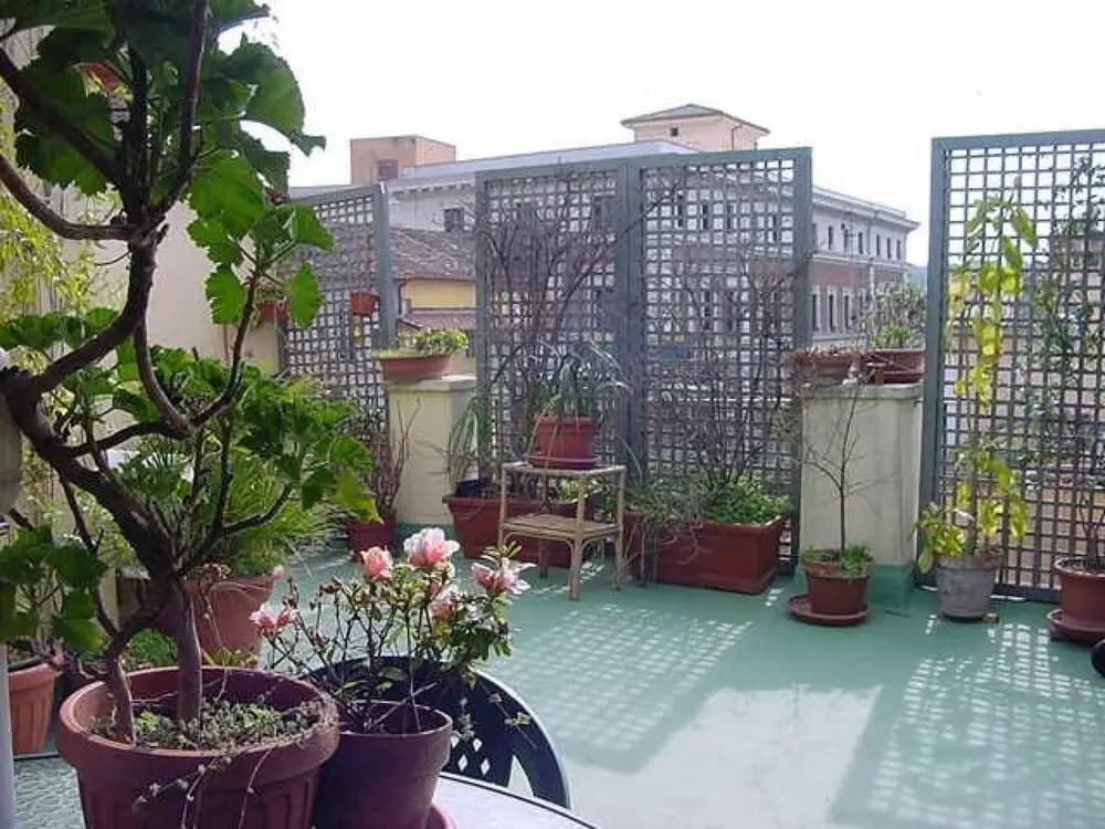 Campo Terrace in Rome - photo 3