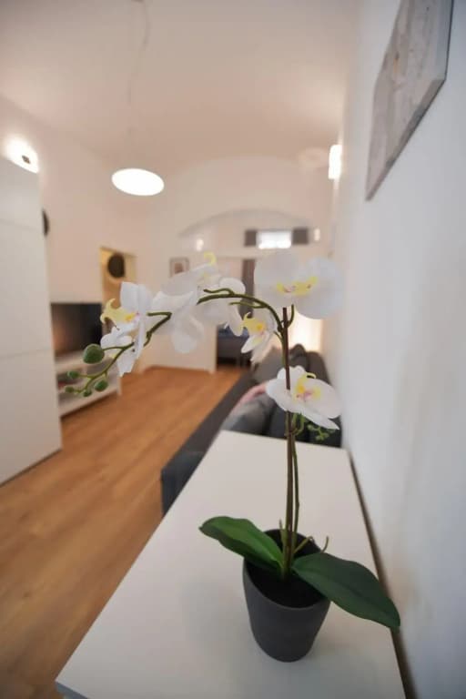 Duplex Apartment - photo 17