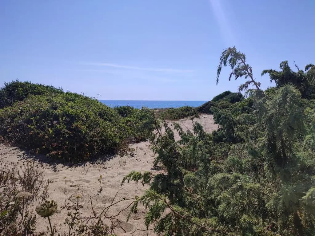 *Ostia* Beach House - photo 12