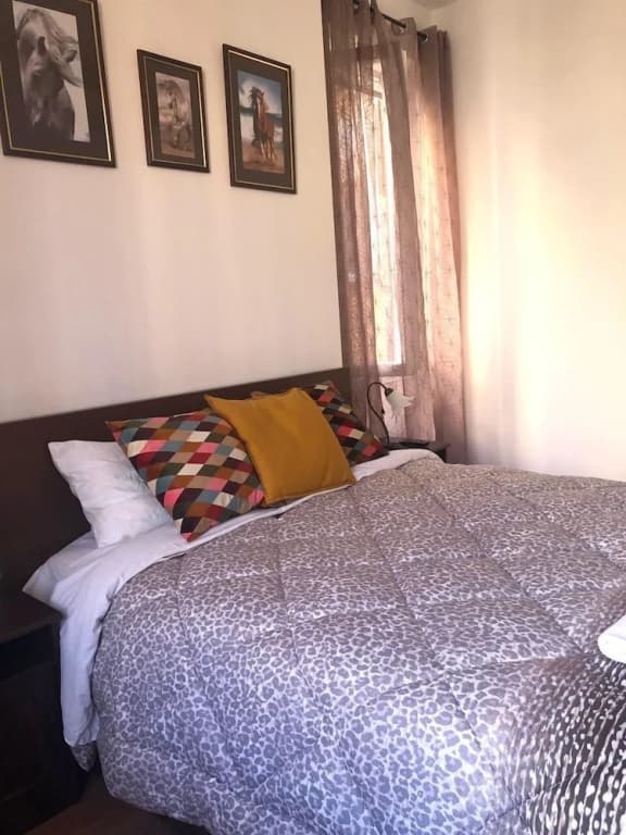 Sofia Guest House - photo 4
