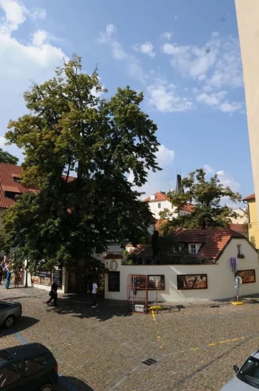 Charles Bridge International Hostel - photo 16