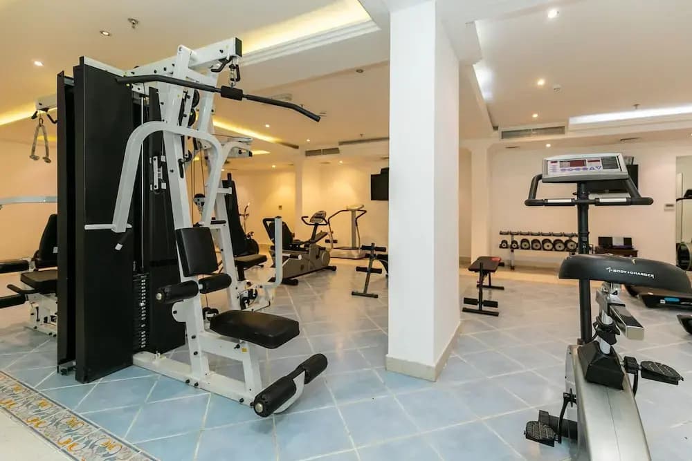 Royal Mirage Hotel and Apartments - photo 17