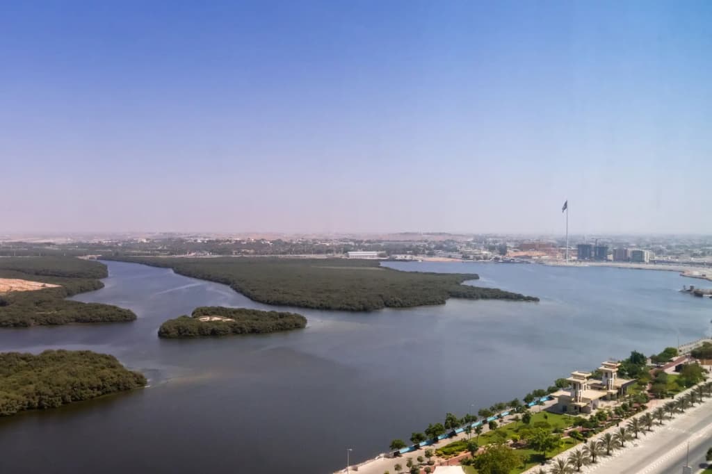 Sunday Mangrove Corniche Hotel - photo 7