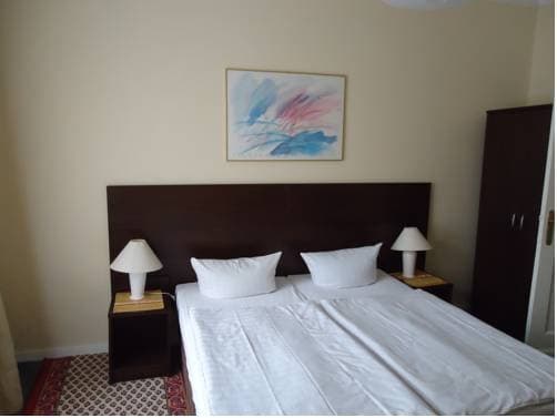 Hotel Pension Austriana - photo 1
