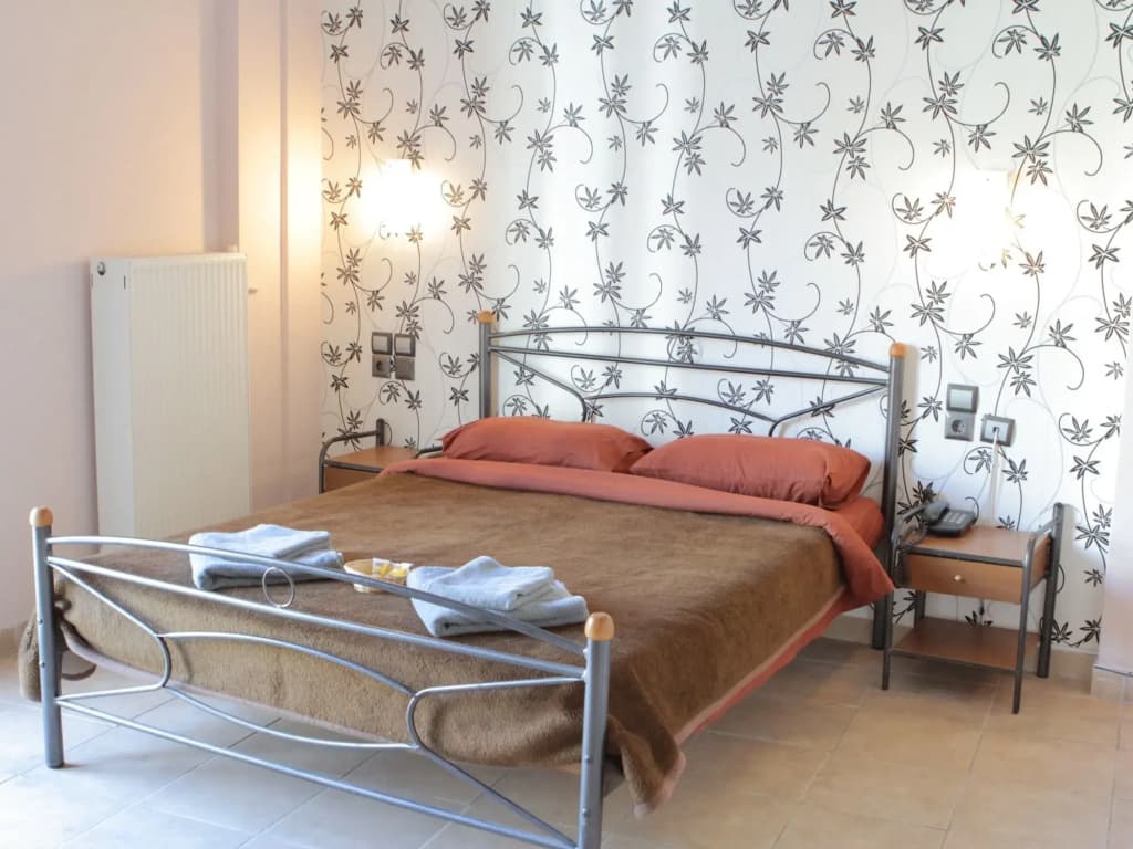 Dionysos Hotel Athens - photo 4