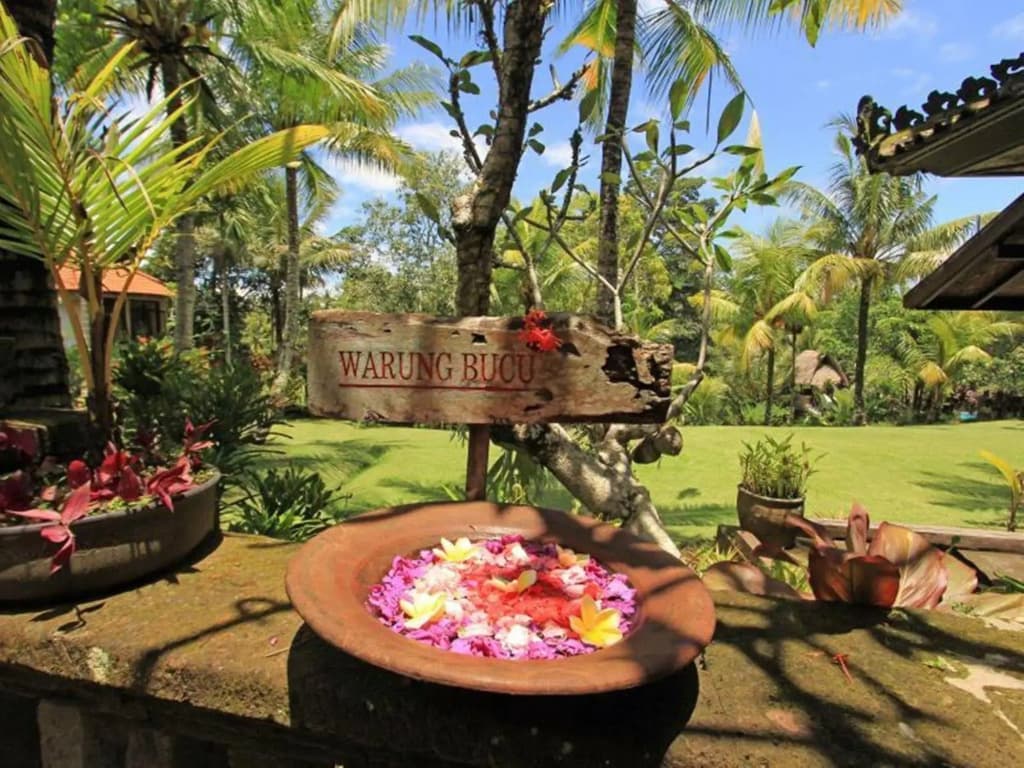 Bucu View Ubud Resort - photo 21