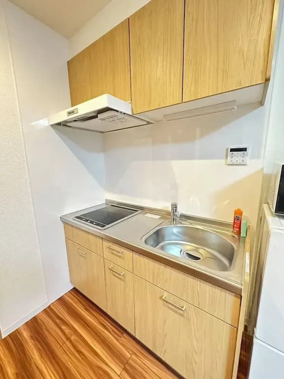 SOLASIA residence Kitaueno501 - photo 11