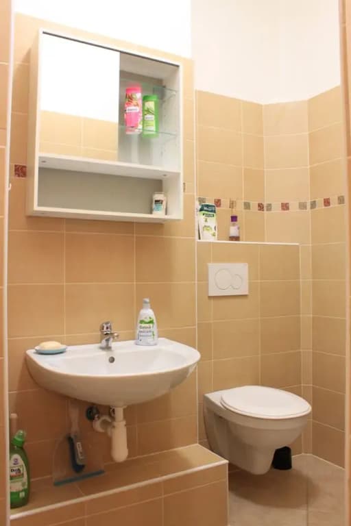 Libicka APARTMEET - photo 5