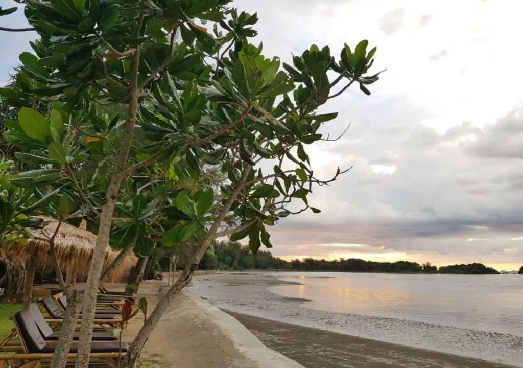 Saladan Beach Resort - photo 16