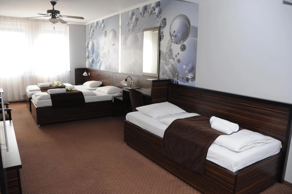 Green Hotel Budapest - photo 3