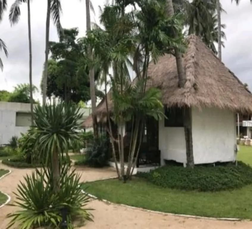 Hansa Beach Resort - photo 20