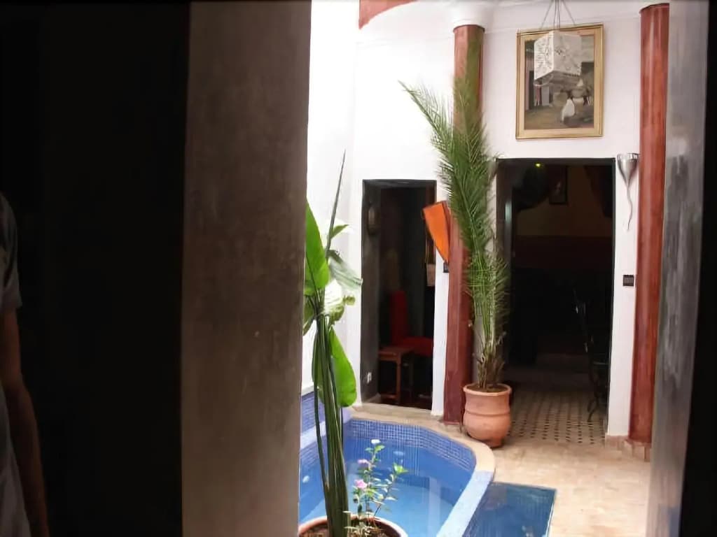 Riad Wink - photo 11