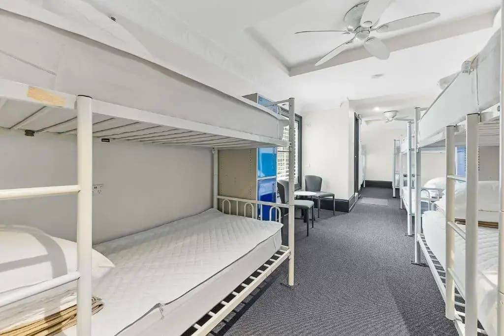 London Plane Backpackers - Hostel - photo 9