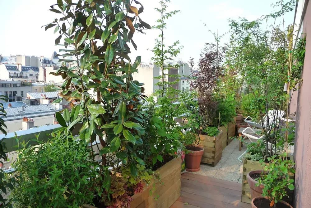 Penthouse avec terrasse - photo 10