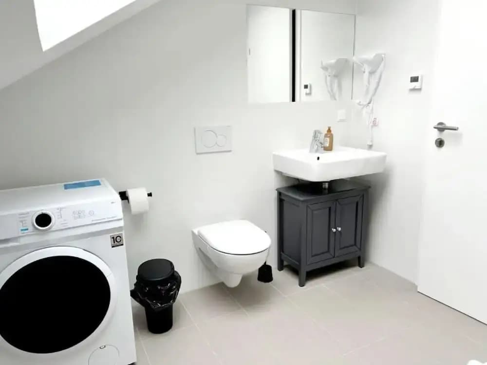 City Apartment Haberl - photo 5