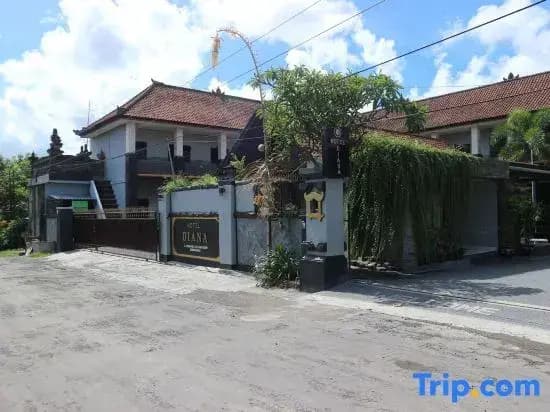Hotel Diana 1 - photo 25