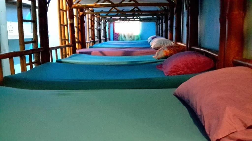 Bamboo Hostel - photo 3