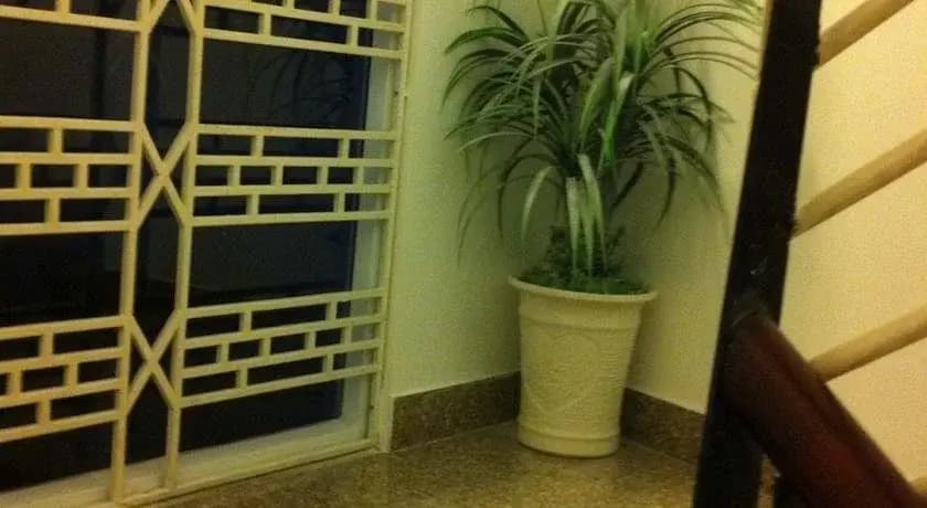 Lucky Hotel - photo 8