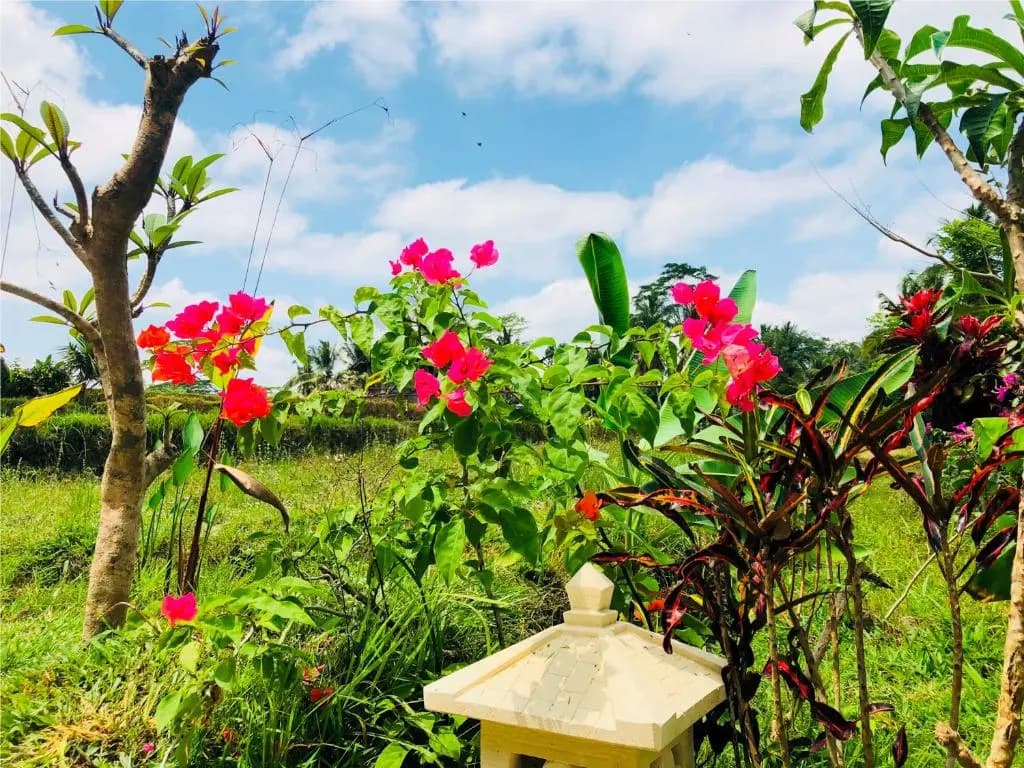 Villa Neyang - photo 14