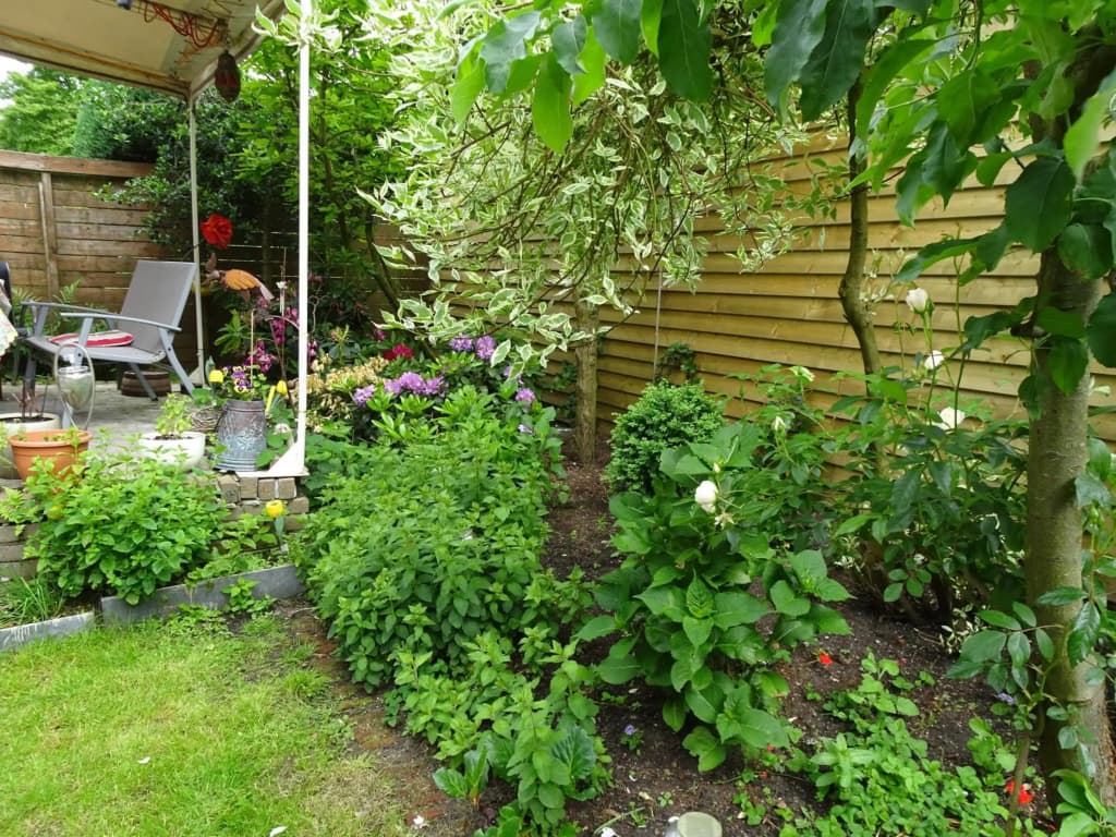 Xaviera's Bed and Breakfast - photo 38