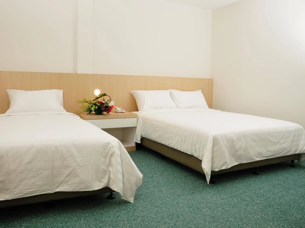 Phoenix Hotel - photo 4