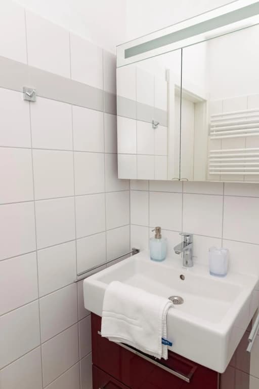 Beautiful 2-bedroom apartment near Schönbrunn - photo 10