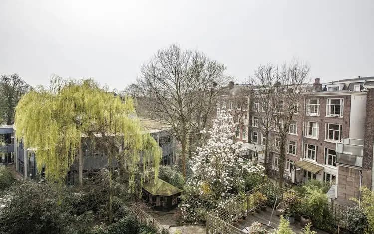 Rijksmuseum Apartment - photo 8