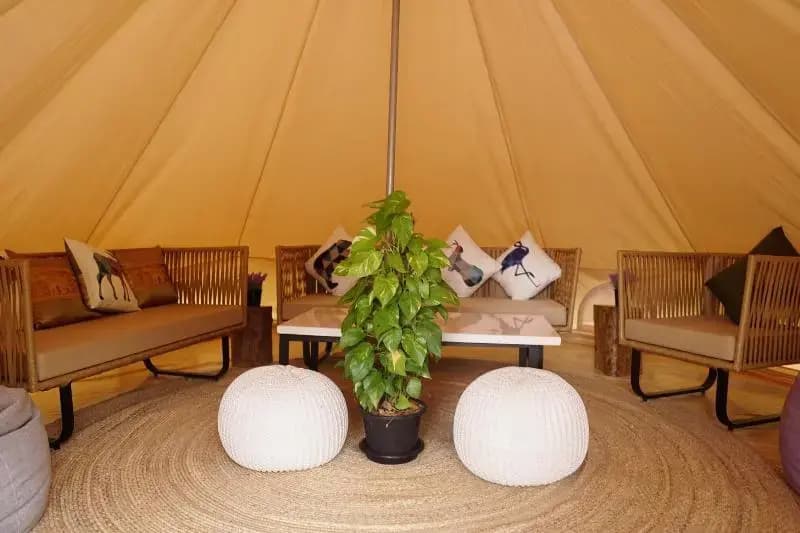 Roost Glamping - photo 15