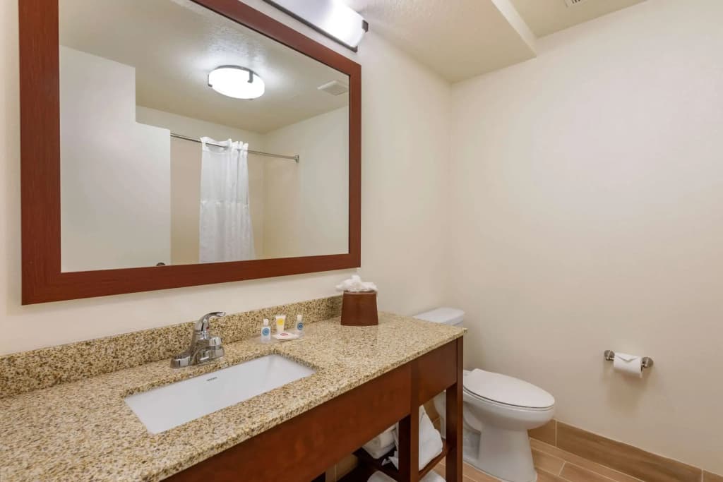 Comfort Suites Downtown - photo 10