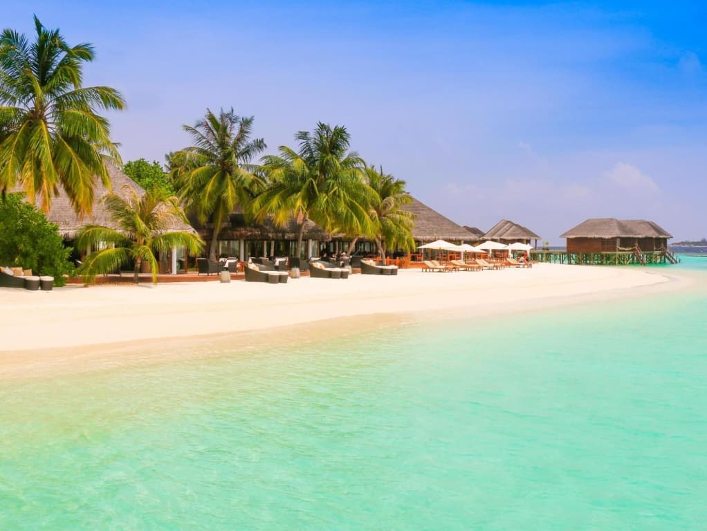 Vakarufalhi Island Resort & Spa - photo 24