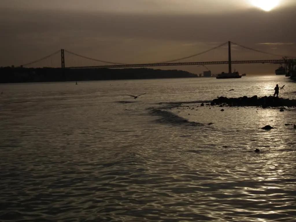 Encanto da Paz - photo 12