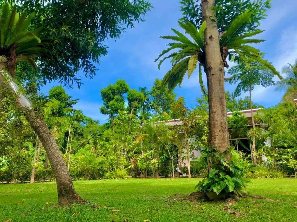 Pana Long Beach Resort - photo 14