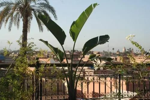 Riad Perle Du Sud - photo 1