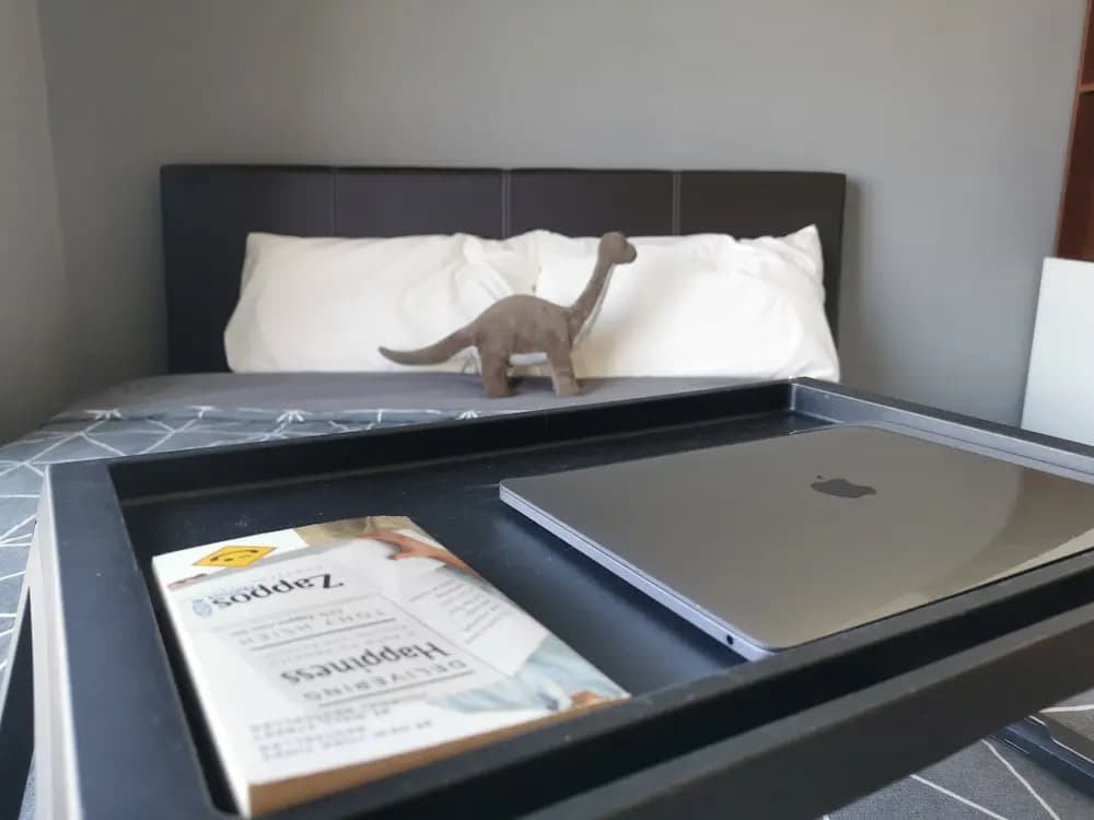 Kampar Champs Elysees 4pax Homestay - photo 13