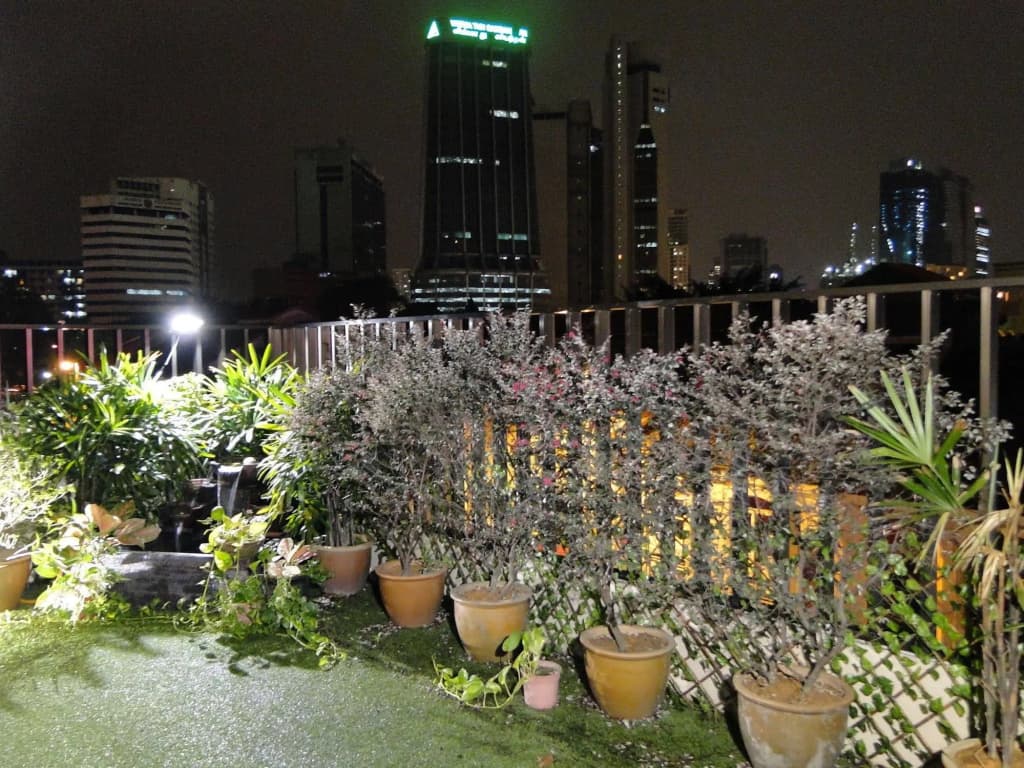 Rain Forest Hotel - photo 13