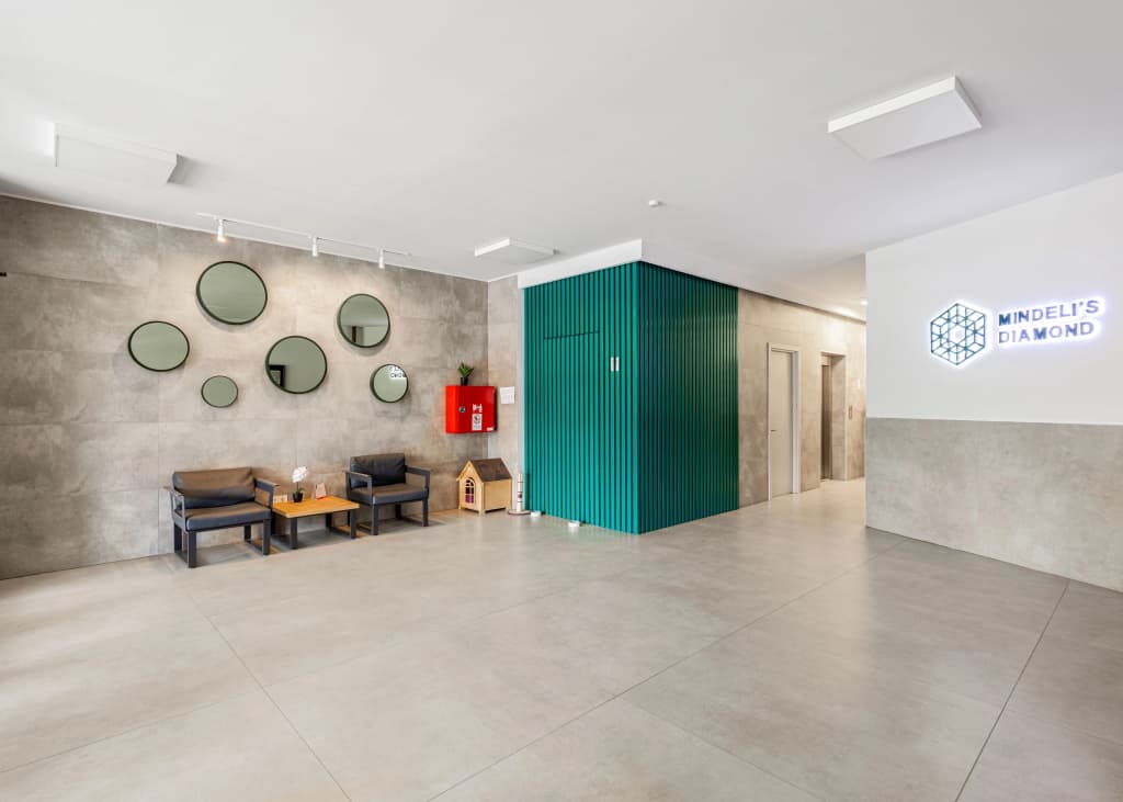 HB Mindeli's Diamond Apartments - photo 9