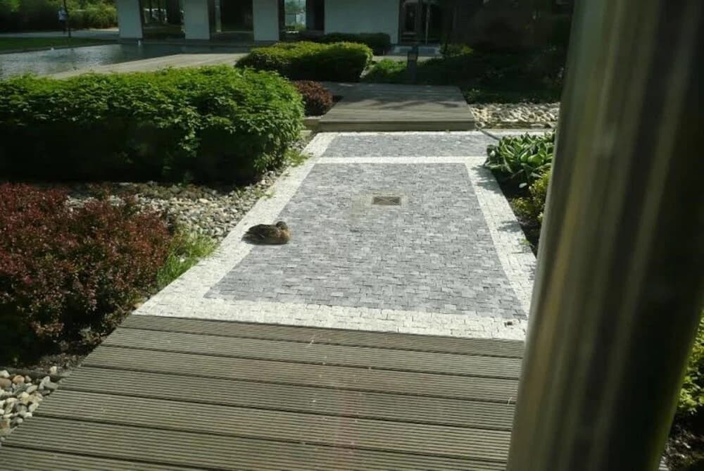 River Apartment with parking - photo 12