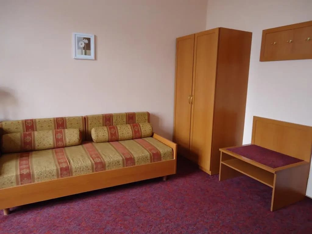 Hotel Aster - photo 27