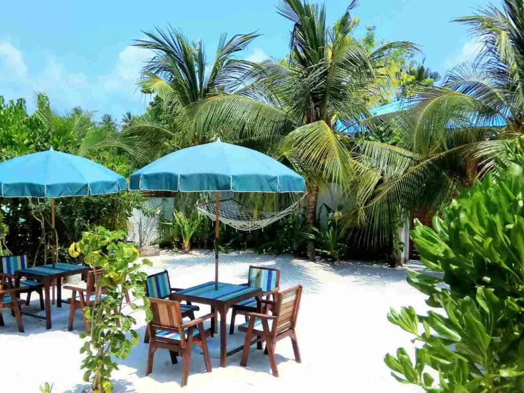 Oliva Palm Cottages - photo 10