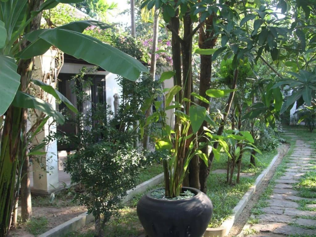 Villa Amalia - photo 14