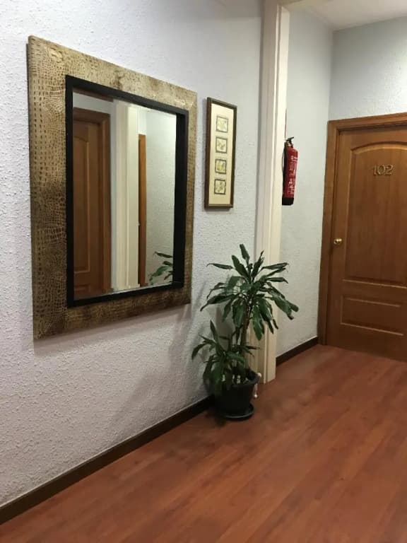 Hotel Pelayo - photo 10