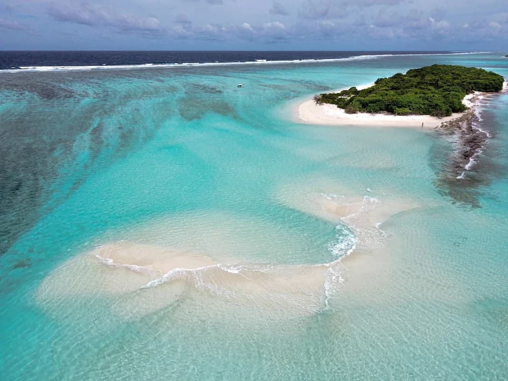 Annama Lodge And Dive - photo 20